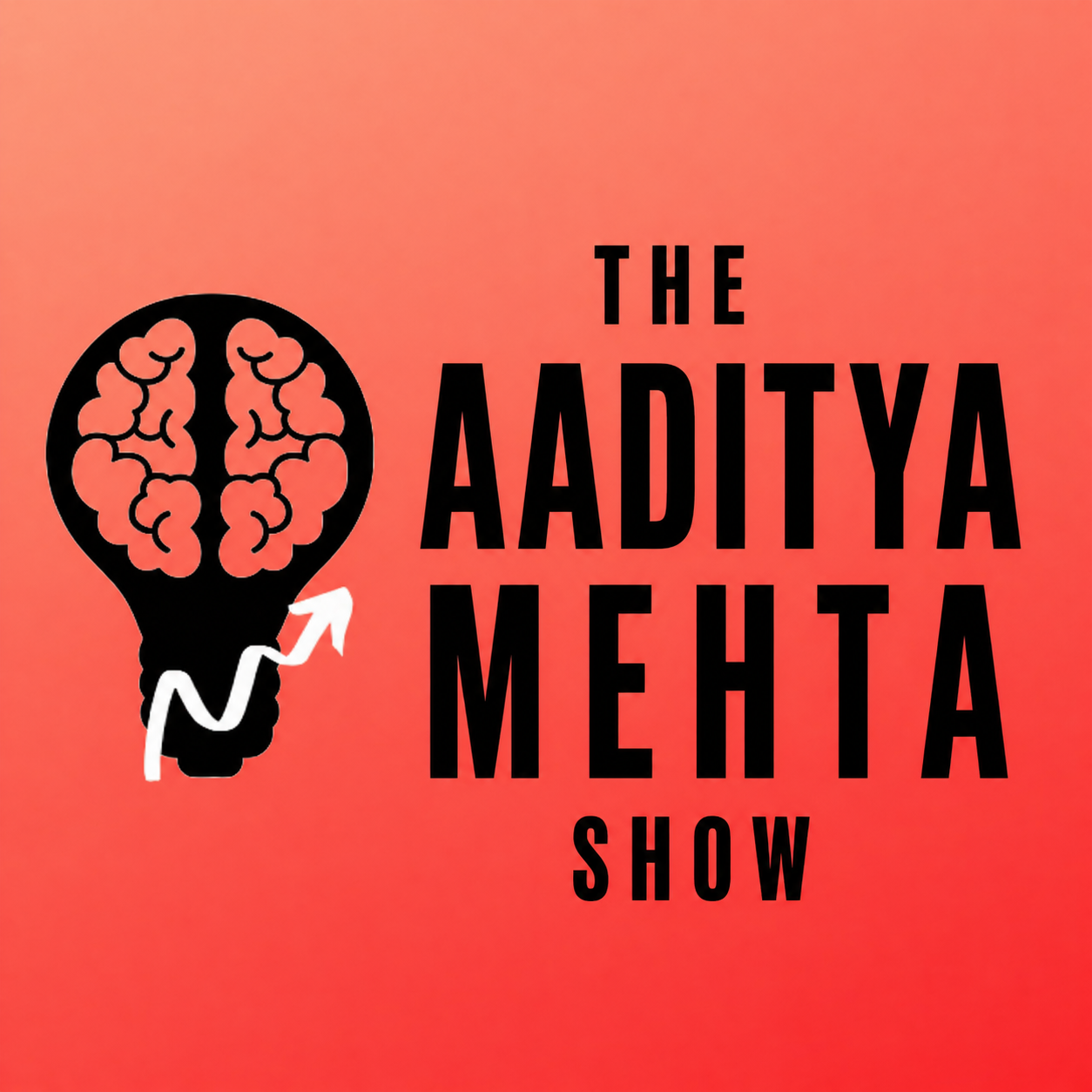 The Aaditya Mehta Show