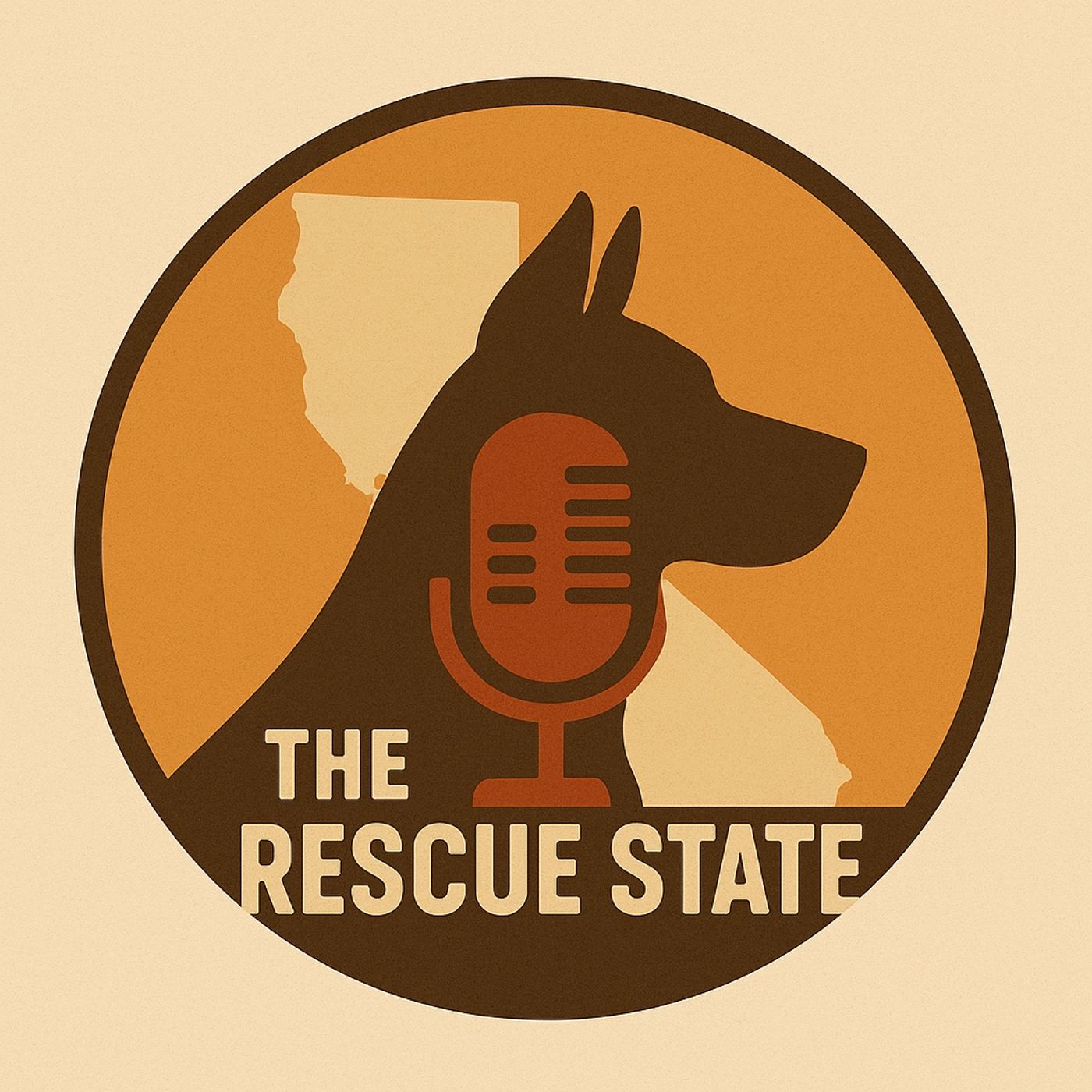 The Rescue State