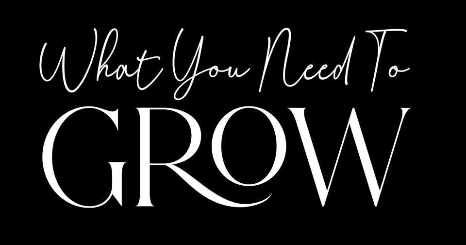 What You Need To Grow