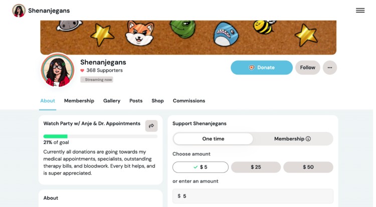 Streamer Shenanjegans invites followers to donate via Ko-fi to support medical appointments and therapy costs.