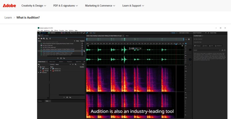 Screenshot of Adobe Audition interface displaying waveform and spectral view tools used to produce professional-quality sound in audio editing.