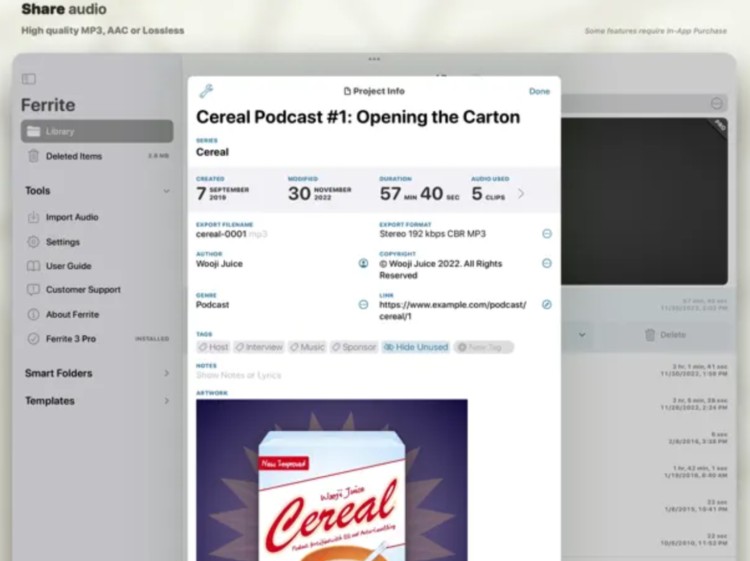 Screenshot of Ferrite app interface showing project details for a podcast episode, highlighting features of great podcast recording software for iPad.
