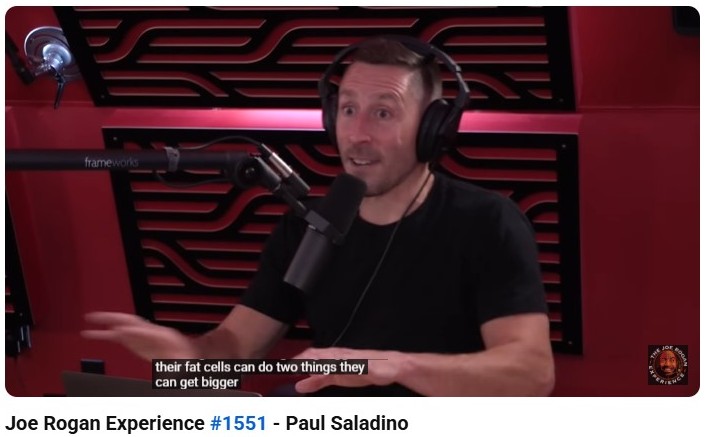 Paul Saladino speaking on the Joe Rogan Experience podcast about health, nutrition, and how fat cells function.