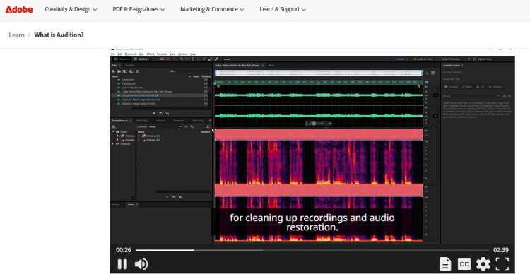 Adobe Audition audio editing software interface showing waveform and spectral view for cleaning up recordings.