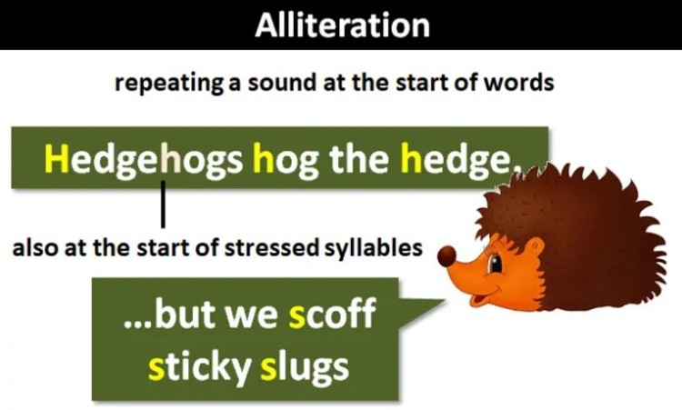 Alliteration example with hedgehogs phrase showing how creative writing uses repeated sounds to make language more engaging