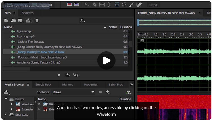 Audio editing interface showing a waveform and spectral display for identifying and editing sound frequencies.