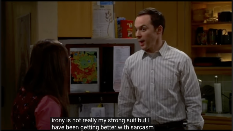 Comedy scene discussing irony and sarcasm as examples of verbal and dramatic techniques used in storytelling